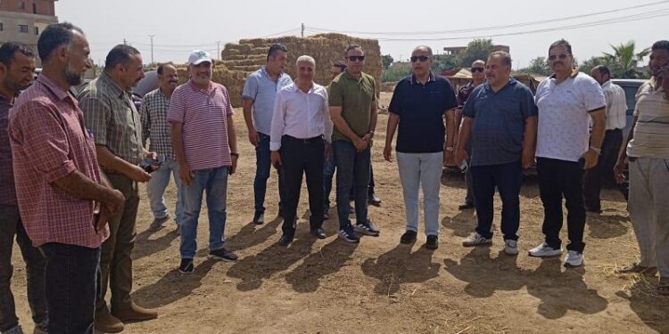 تدوير قش الأرز