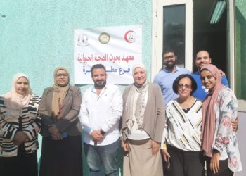 الصحة الحيوانية