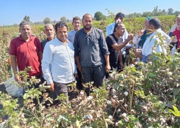 زراعة الشرقية
