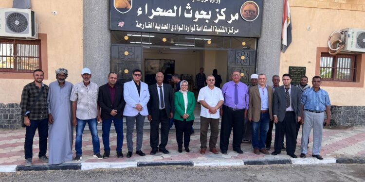 «بحوث الصحراء» يفتتح دورة «التطبيقات الحديثة لتدوير المخلفات الزراعية» بالوادي الجديد 1 بحوث الصحراء