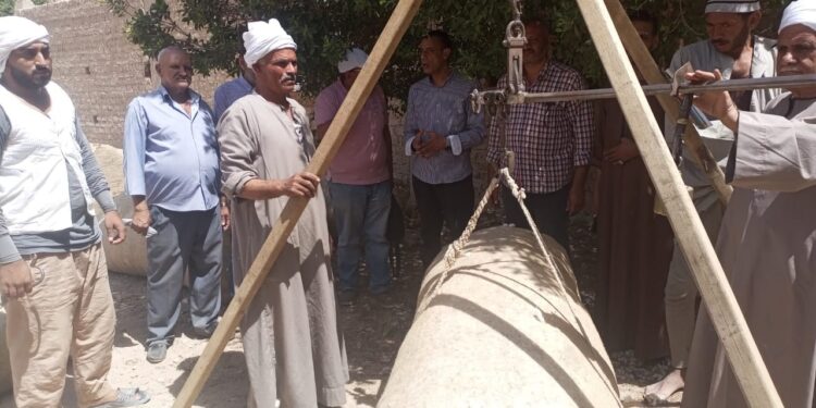 زراعة أسيوط