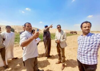 زراعة أسيوط