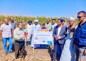 زراعة أسيوط