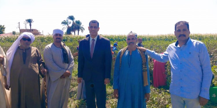 «زراعة أسيوط» تفتتح موسم «جنىّ القطن» بأبوتيج 1 زراعة أسيوط