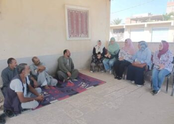 زراعة الإسكندرية