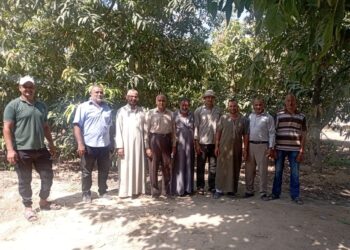 زراعة الإسماعيلية