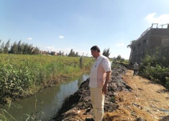 زراعة الدقهلية