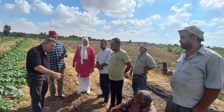 «زراعة السويس»: تنظم ندوة إرشادية لمحاصيل الخضر بالجناين 1 زراعة السويس