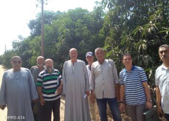 زراعة الشرقية