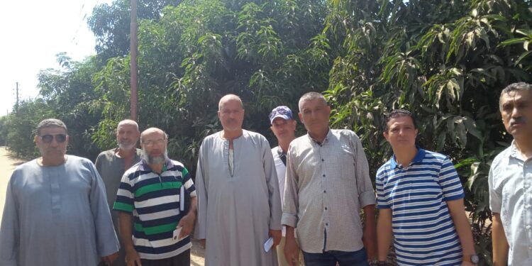 «زراعة الشرقية»: 5 توصيات لمحصولي المانجو والذرة ..و10 لحماية الحيوانات من "السل والبروسيلا " 1 زراعة الشرقية