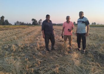 زراعة الغربية