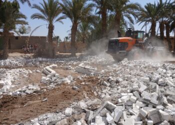 زراعة بني سويف