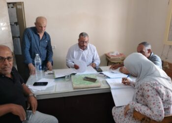 زراعة دمياط