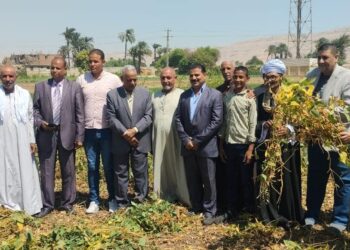 زراعة سوهاج