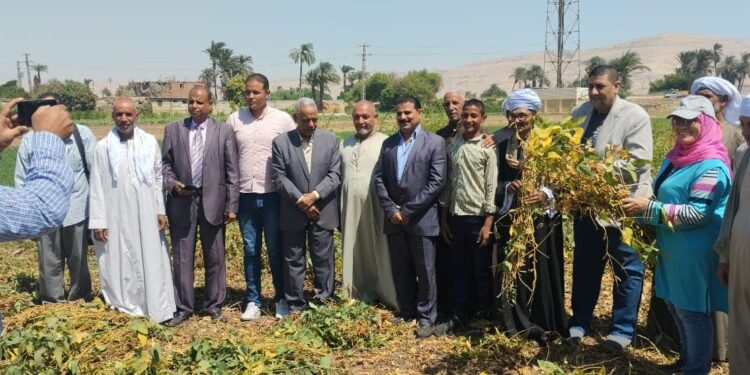 «زراعة سوهاج»: تعقد ندوات إرشادية للتوعية بأهمية محصول فول الصويا ..ومكافحة القوارض 1 زراعة سوهاج