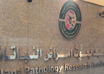 أمراض النباتات