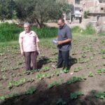 «زراعة الغربية» تواصل عمليات جرد الجمعيات بالإدارات الزراعية المختلفة 12 زراعة الغربية