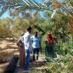 «زراعة جنوب سيناء» : بداية جديدة للإرشاد الزراعى بقافلة الإصحاح البيئى براس سدر 12 زراعة جنوب سيناء