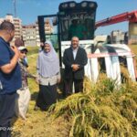 «زراعة دمياط » تتخذ خطوات جادة نحو التحول الرقمي ..وتنفذ يوم حصاد محصول الأرز بفارسكور 12 زراعة دمياط