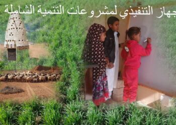 التنمية الشاملة