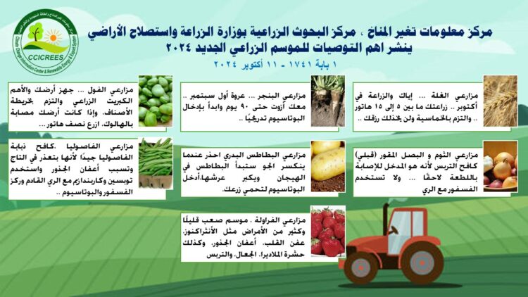 “الزراعة” تنشر أهم التوصيات الفنية للموسم الزراعي الجديد