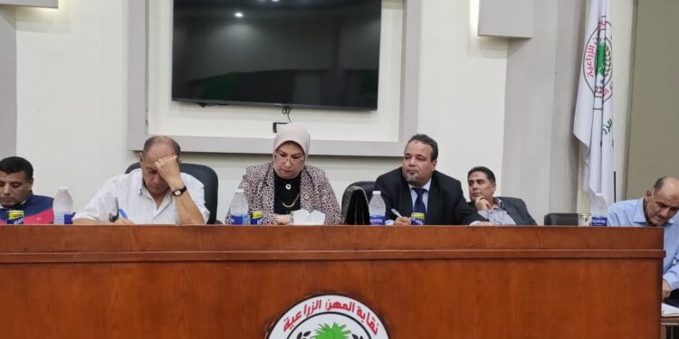 عمارة: انعقاد المزاد الثالث لبيع أكثر من 61 ألف قنطار قطن زهر 1 قطن