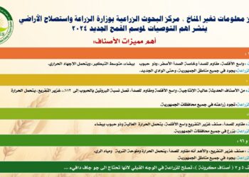مركز معلومات تغير المناخ يصدر روشتة القمح للموسم الزراعي الجديد