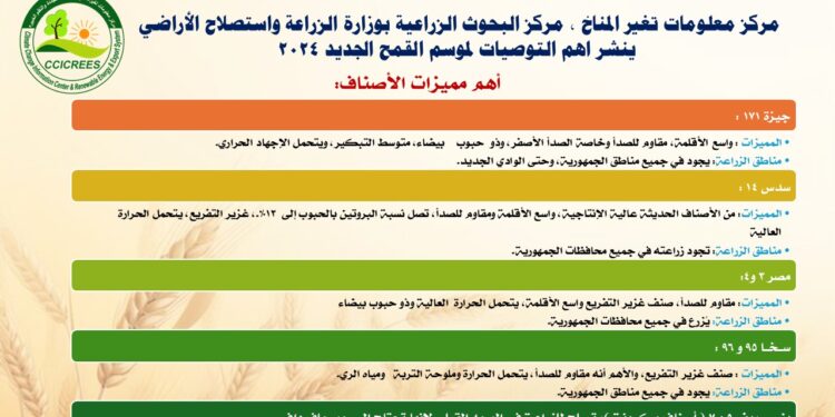 مركز معلومات تغير المناخ يصدر روشتة القمح للموسم الزراعي الجديد 1 مركز معلومات تغير المناخ يصدر روشتة القمح للموسم الزراعي الجديد