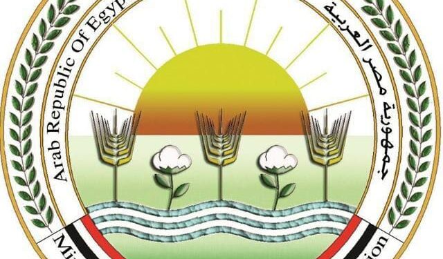 “الزراعة” تنفي ما تم تداوله عبر وسائل التواصل الاجتماعي بشأن ما أسموه  “بثعبان الطماطم”