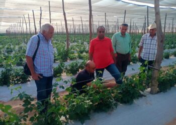 رئيس شؤون المديريات يتابع في النوبارية كارت الفلاح وضبط منظومة الأسمدة