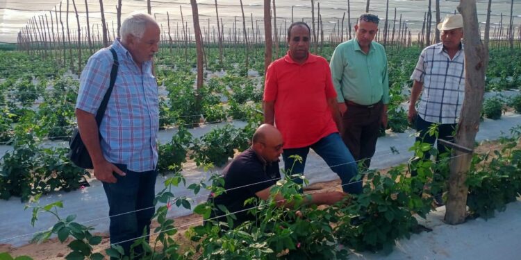 رئيس شؤون المديريات يتابع في النوبارية كارت الفلاح وضبط منظومة الأسمدة