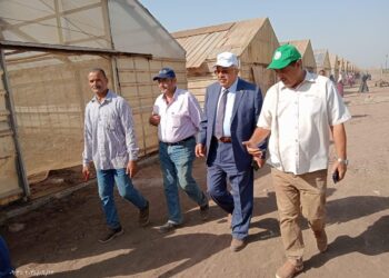 تعاون اتحاد الحاصلات البستانية والبحوث الزراعية في إنتاج محاصيل التصدير في صوب “قها”