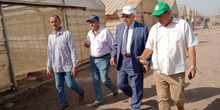 تعاون اتحاد الحاصلات البستانية والبحوث الزراعية في إنتاج محاصيل التصدير في صوب “قها”