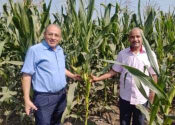 الأراضي والمياه والبيئة ينفذ حقل إرشادي للموسم الثاني علي التوالي لتطبيق نتائج المشروع القومي” لانتاج خرائط خصوبة التربة