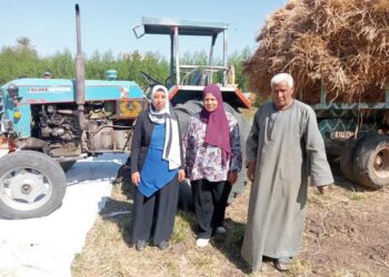 زراعة القليوبية