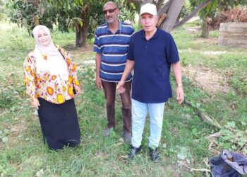 زراعة السويس