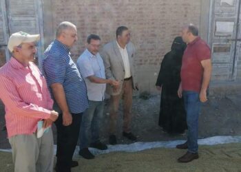 زراعة كفر الشيخ