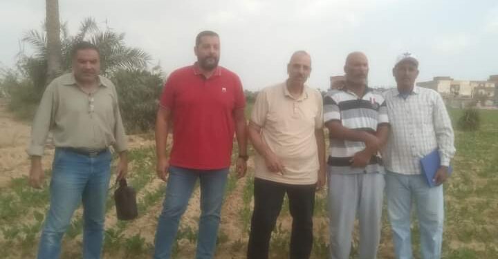 «زراعة الإسكندرية»: 4 توصيات عن زراعة محصول «بنجر السكر » بندوة العامرية 1 زراعة الإسكندرية