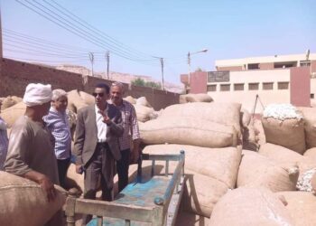 زراعة أسيوط