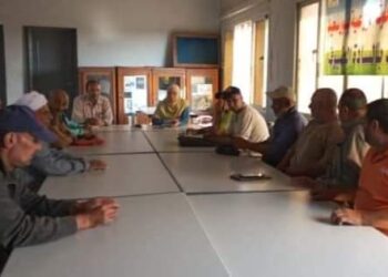 زراعة بورسعيد