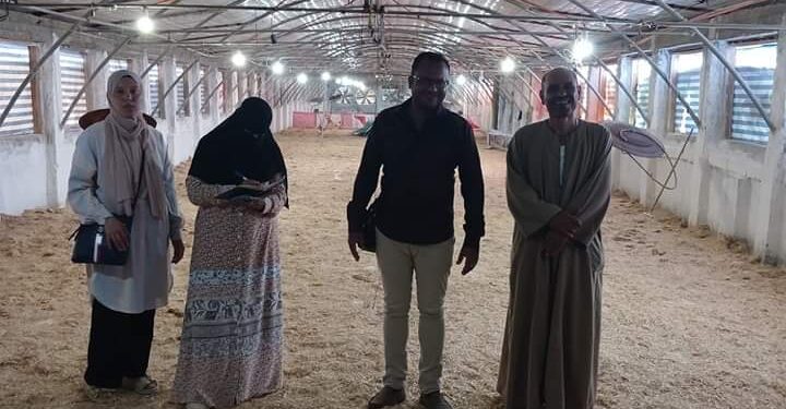 «زراعة جنوب سيناء» توفر تقاوي المحاصيل الاستراتيجية..وتتابع مزارع الدواجن 1 زراعة جنوب سيناء