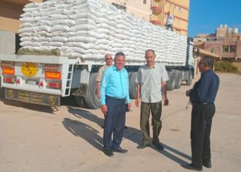 زراعة مطروح