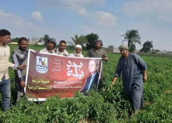 زراعة بني سويف