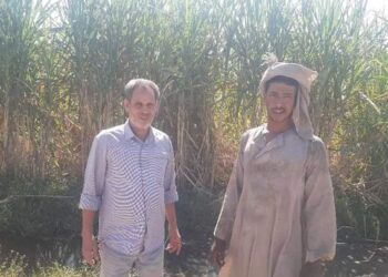 زراعة الأقصر