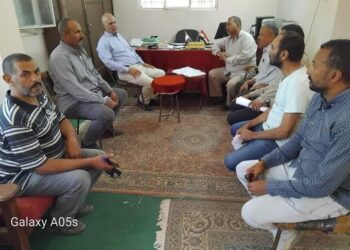 زراعة المنيا