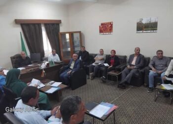 زراعة المنيا