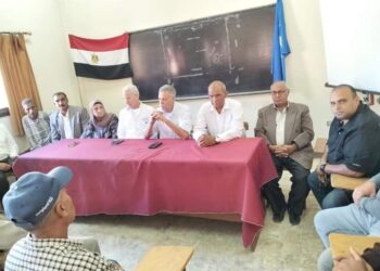 زراعة دمياط