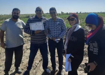 زراعة بورسعيد