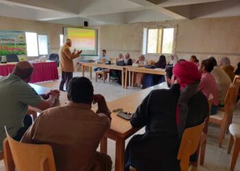 زراعة مطروح