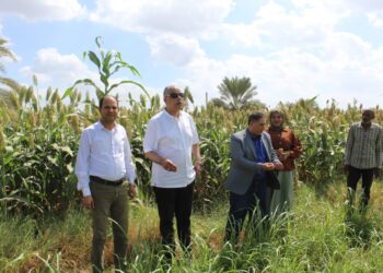 الإرشاد الزراعي